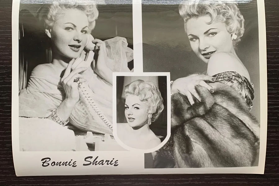 glossy resume paper for graphics