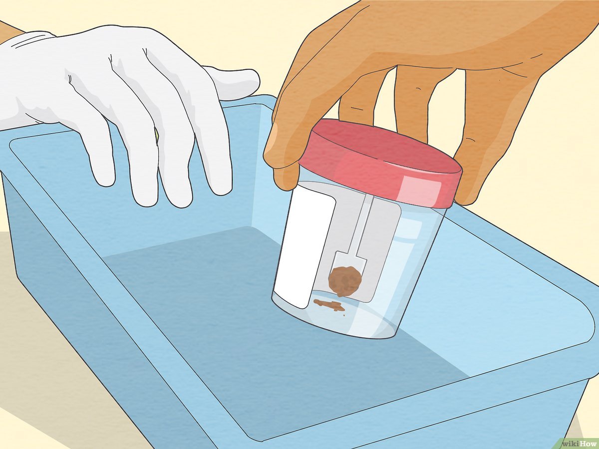 specimen collection medical